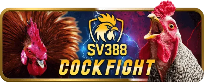 Trò chuyện Trực tuyến onbet2 win